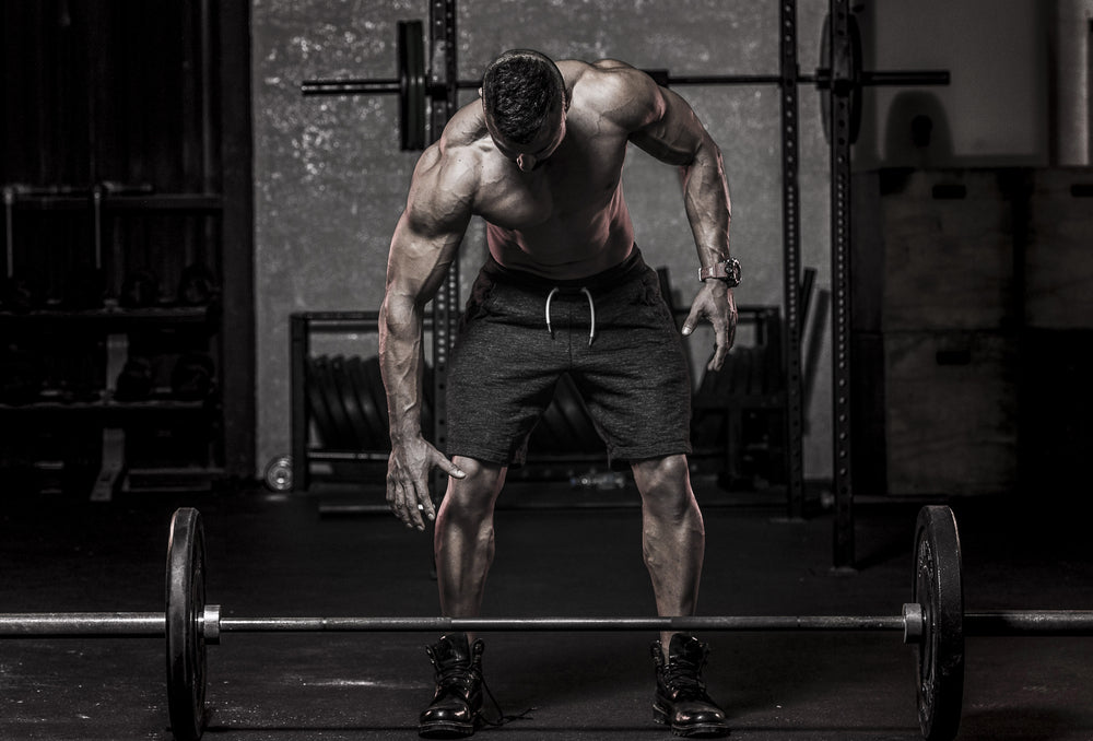 Eating for Muscle Mass